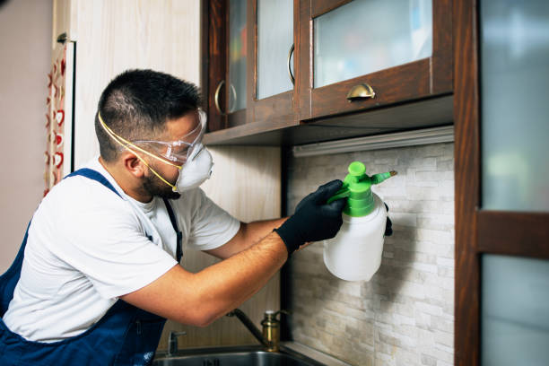 Best Pest Control Near Me  in Sonoma State University, CA