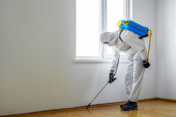 Best Cockroach Control Services  in Sonoma State University, CA