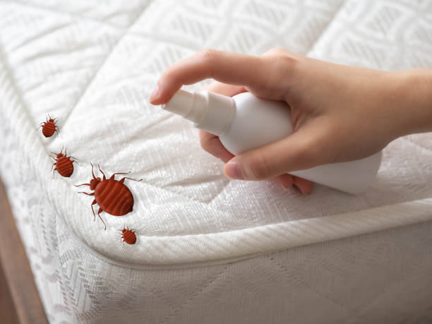 Best Mosquito Control Services  in Sonoma State University, CA