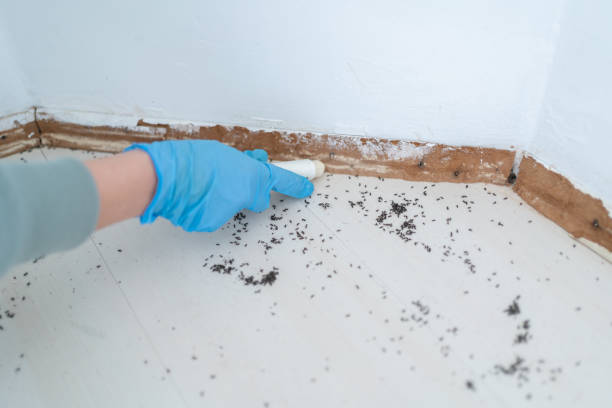 Pest Control for Restaurants in Sonoma State University, CA