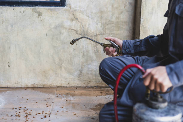Best Exterminator Services  in Sonoma State University, CA